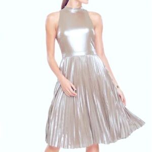 Ann Taylor Silver Bronze Sleeveless Pleated Accordion Chiffon Dress Size 12P NWT